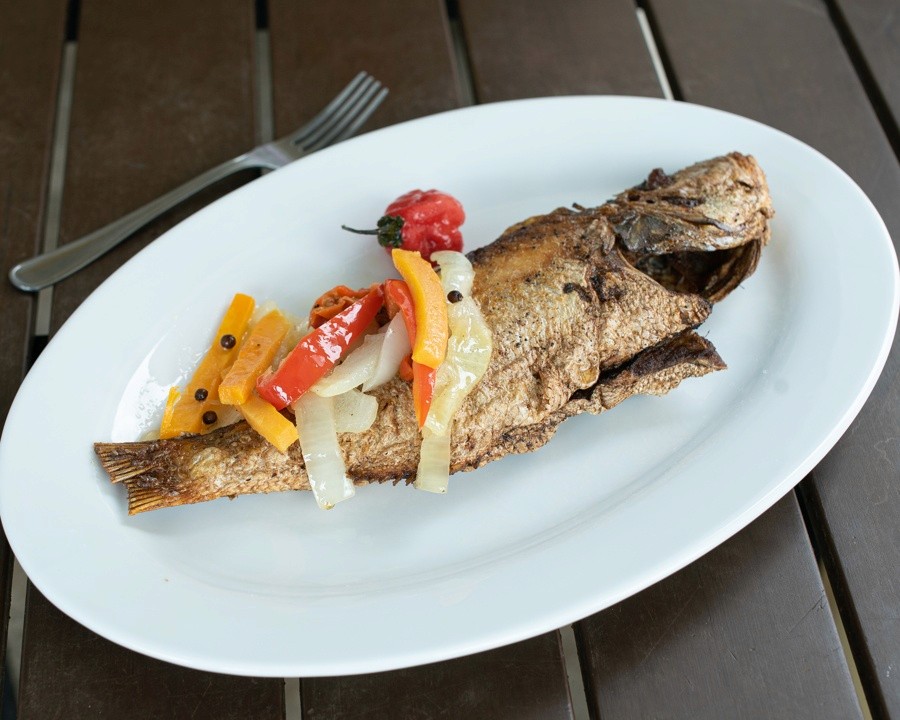 Snapper Fish